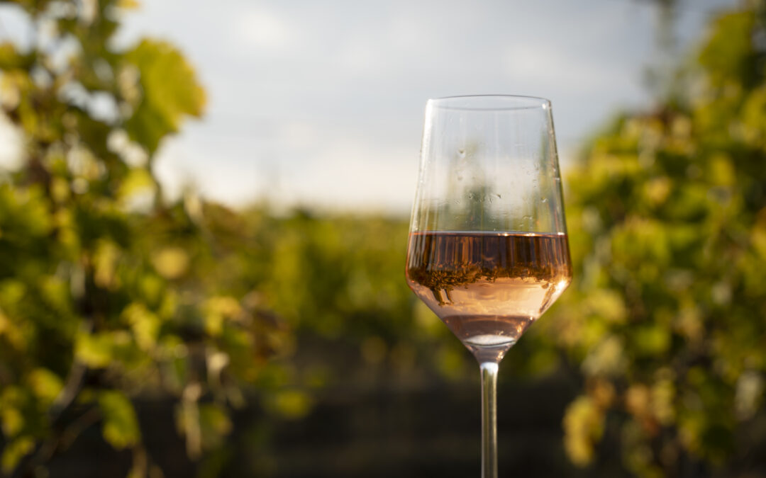 Dégustation de vins rosé à Perpignan – Bacchus